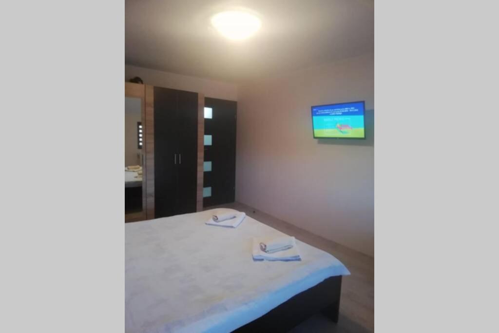 Large Vacation Apartment In 포이아나브라소프 외부 사진
