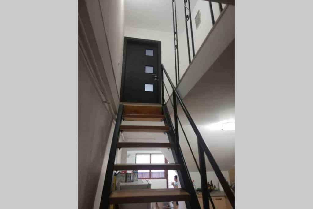 Large Vacation Apartment In 포이아나브라소프 외부 사진