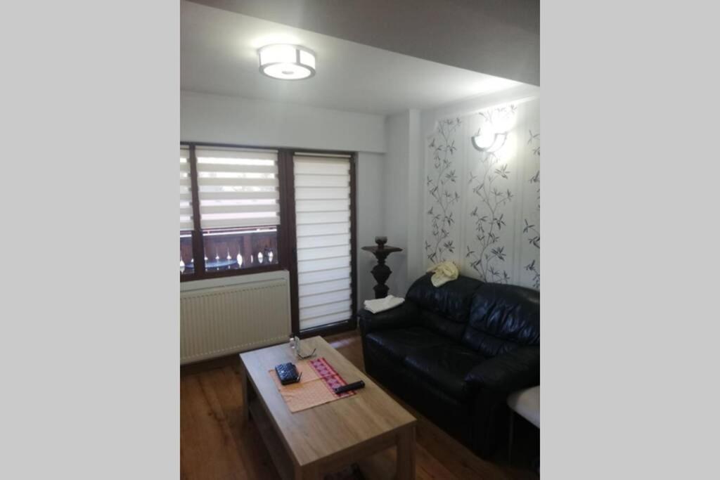 Large Vacation Apartment In 포이아나브라소프 외부 사진